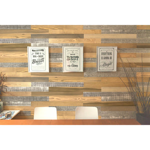 Grain, Holey, Antique Mix Wall Planks